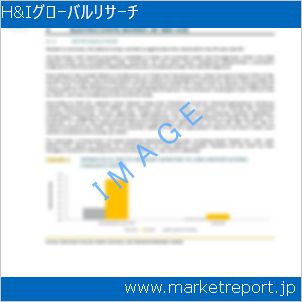 市場と産業調査レポートのイメージ